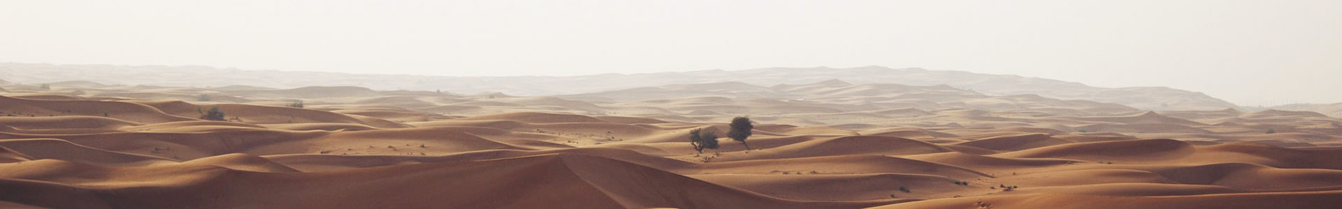 ջǱ޹˾